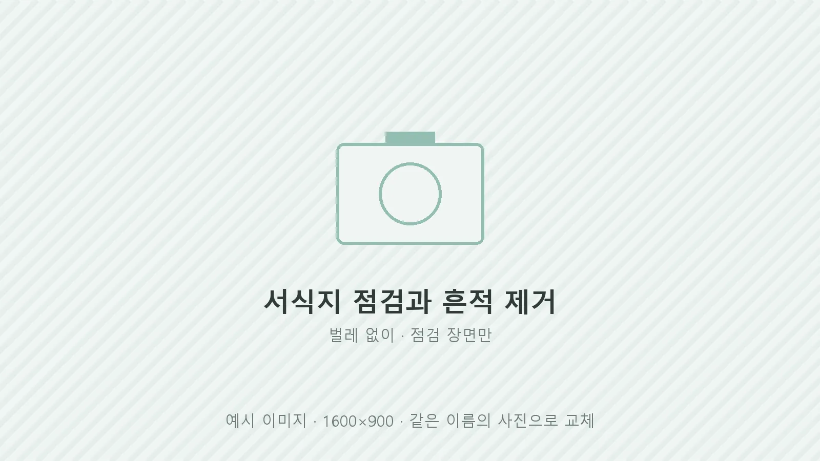 주방 하부 서식지를 점검하는 모습